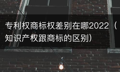 专利权商标权差别在哪2022（知识产权跟商标的区别）