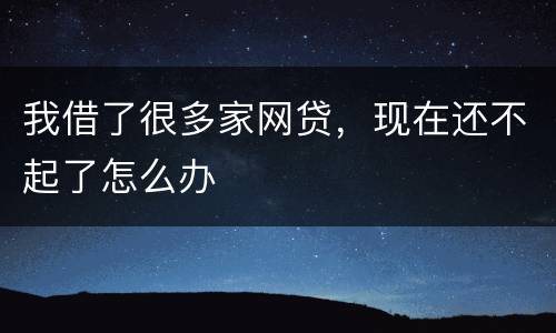 我借了很多家网贷，现在还不起了怎么办