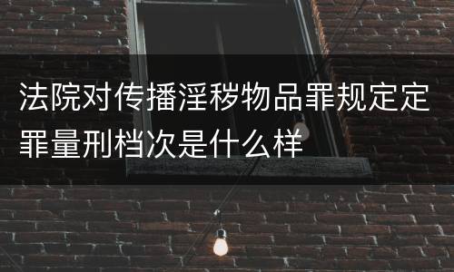 法院对传播淫秽物品罪规定定罪量刑档次是什么样