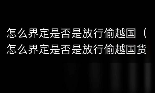 怎么界定是否是放行偷越国（怎么界定是否是放行偷越国货币）