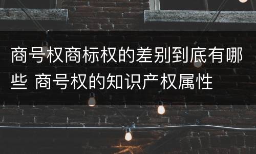 商号权商标权的差别到底有哪些 商号权的知识产权属性