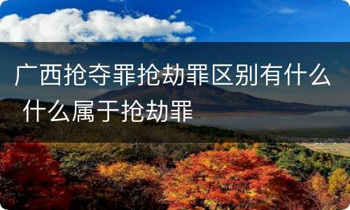 广西抢夺罪抢劫罪区别有什么 什么属于抢劫罪