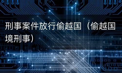 刑事案件放行偷越国（偷越国境刑事）