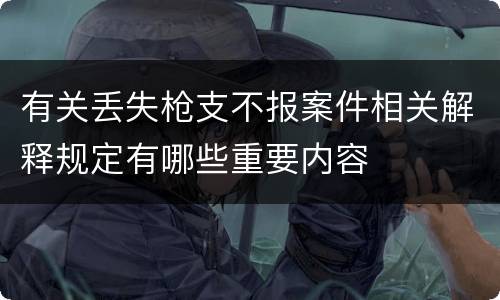 有关丢失枪支不报案件相关解释规定有哪些重要内容