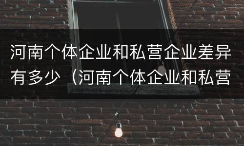 河南个体企业和私营企业差异有多少（河南个体企业和私营企业差异有多少个）