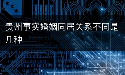 贵州事实婚姻同居关系不同是几种
