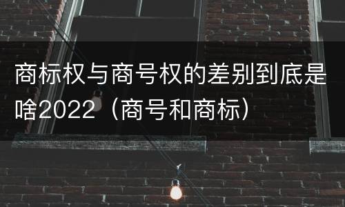 商标权与商号权的差别到底是啥2022（商号和商标）