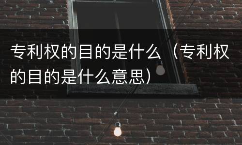 专利权的目的是什么（专利权的目的是什么意思）