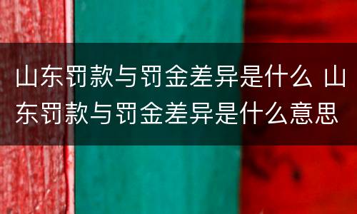 山东罚款与罚金差异是什么 山东罚款与罚金差异是什么意思啊