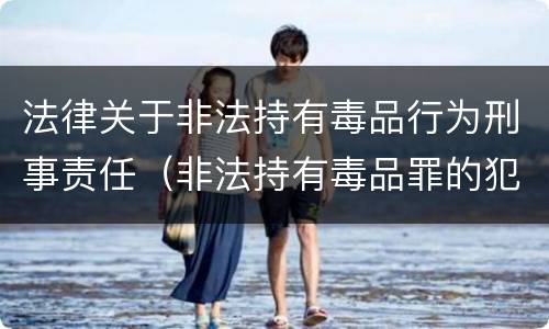 法律关于非法持有毒品行为刑事责任（非法持有毒品罪的犯罪构成）