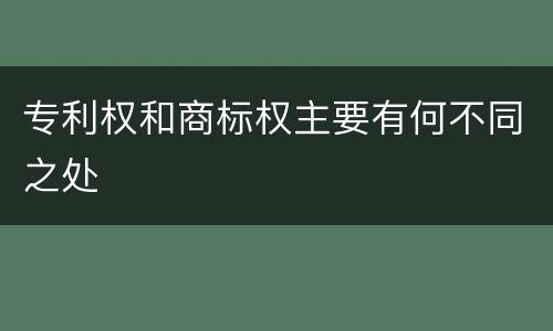专利权和商标权主要有何不同之处