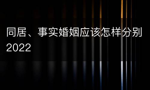 同居、事实婚姻应该怎样分别2022