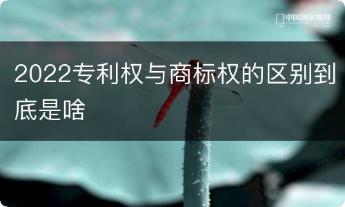 2022专利权与商标权的区别到底是啥