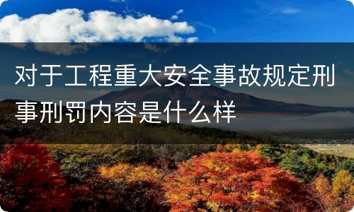对于工程重大安全事故规定刑事刑罚内容是什么样