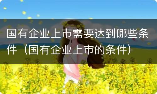 国有企业上市需要达到哪些条件（国有企业上市的条件）