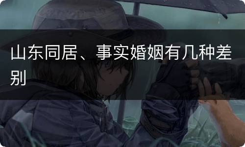 山东同居、事实婚姻有几种差别