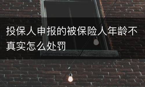 投保人申报的被保险人年龄不真实怎么处罚