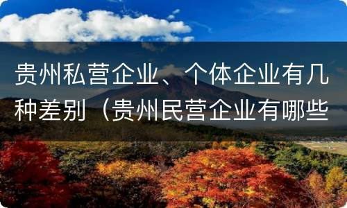 贵州私营企业、个体企业有几种差别（贵州民营企业有哪些）