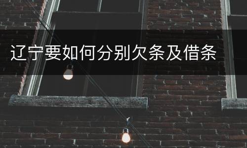 辽宁要如何分别欠条及借条