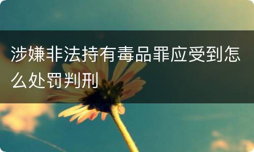 涉嫌非法持有毒品罪应受到怎么处罚判刑