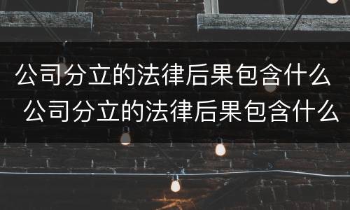 公司分立的法律后果包含什么 公司分立的法律后果包含什么问题