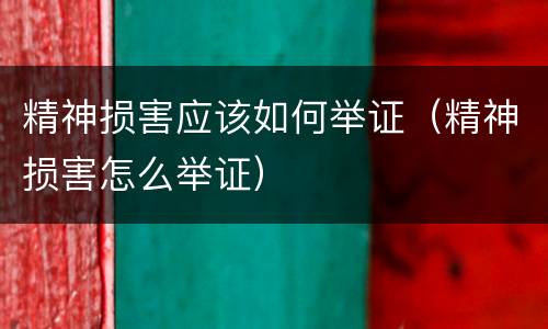 精神损害应该如何举证（精神损害怎么举证）
