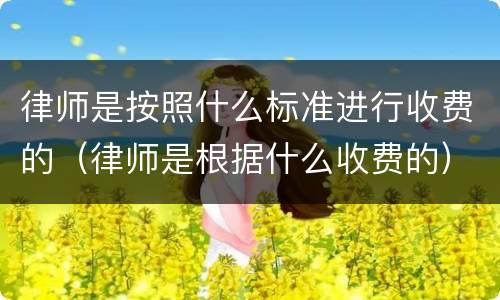律师是按照什么标准进行收费的（律师是根据什么收费的）