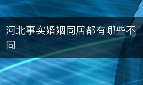河北事实婚姻同居都有哪些不同