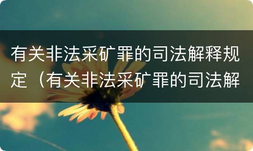 有关非法采矿罪的司法解释规定（有关非法采矿罪的司法解释规定有哪些）