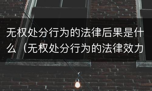 无权处分行为的法律后果是什么（无权处分行为的法律效力）