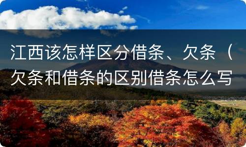 江西该怎样区分借条、欠条（欠条和借条的区别借条怎么写）