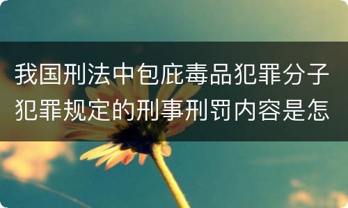我国刑法中包庇毒品犯罪分子犯罪规定的刑事刑罚内容是怎样的