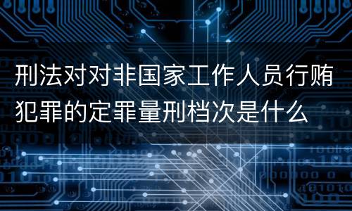 刑法对对非国家工作人员行贿犯罪的定罪量刑档次是什么