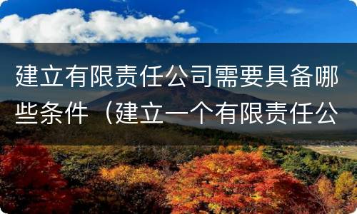 建立有限责任公司需要具备哪些条件（建立一个有限责任公司的流程）