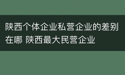 陕西个体企业私营企业的差别在哪 陕西最大民营企业