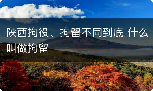 陕西拘役、拘留不同到底 什么叫做拘留