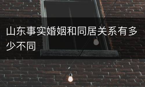 山东事实婚姻和同居关系有多少不同