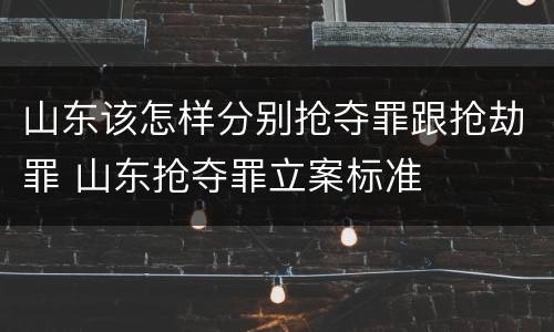 山东该怎样分别抢夺罪跟抢劫罪 山东抢夺罪立案标准