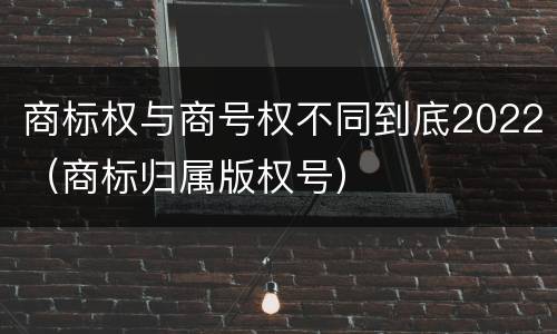 商标权与商号权不同到底2022（商标归属版权号）