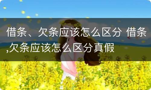 借条、欠条应该怎么区分 借条,欠条应该怎么区分真假
