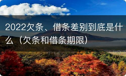 2022欠条、借条差别到底是什么（欠条和借条期限）