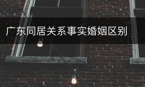 广东同居关系事实婚姻区别