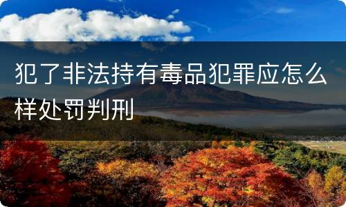 犯了非法持有毒品犯罪应怎么样处罚判刑