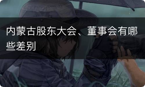 内蒙古股东大会、董事会有哪些差别