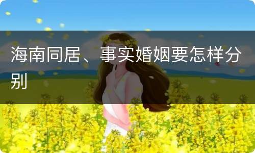 海南同居、事实婚姻要怎样分别