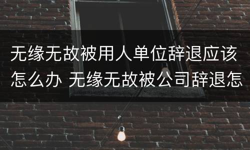 无缘无故被用人单位辞退应该怎么办 无缘无故被公司辞退怎么赔偿, 劳动局