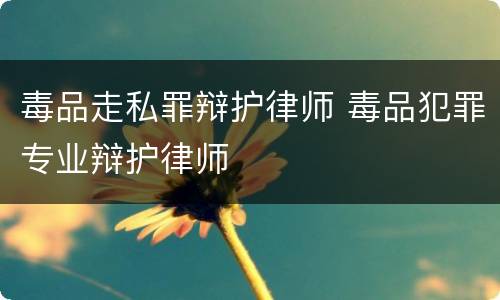 毒品走私罪辩护律师 毒品犯罪专业辩护律师
