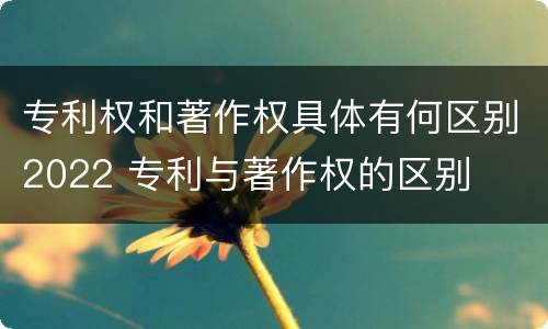 专利权和著作权具体有何区别2022 专利与著作权的区别
