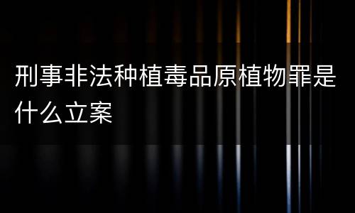 刑事非法种植毒品原植物罪是什么立案