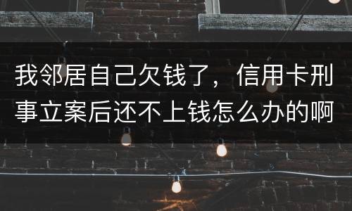 我邻居自己欠钱了，信用卡刑事立案后还不上钱怎么办的啊